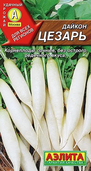 Редька Дайкон Цезарь