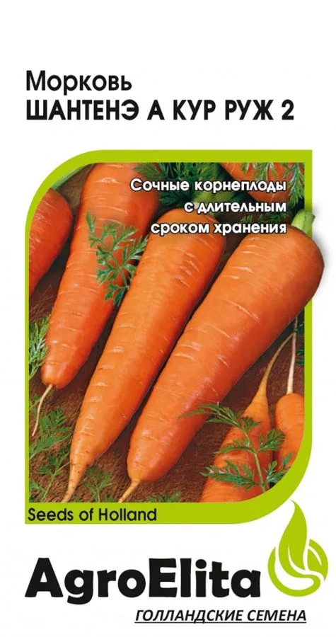 Морковь Шантенэ А Кур Руж 2