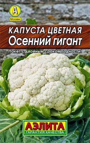 Капуста цветная Осенний гигант