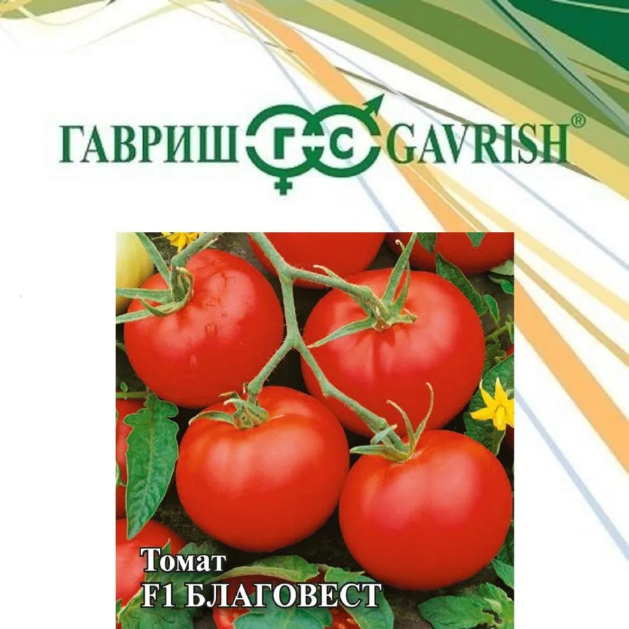 Томат Благовест F1