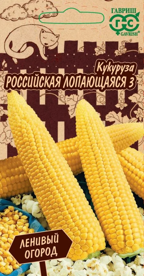 Кукуруза (попкорн) Российская лопающаяся 3