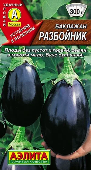 Баклажан Разбойник