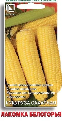 Кукуруза сахарная Лакомка Белогорья