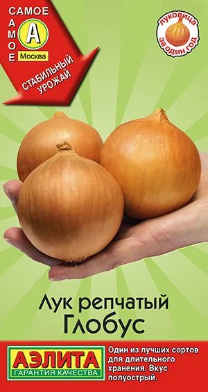Лук репчатый Глобус
