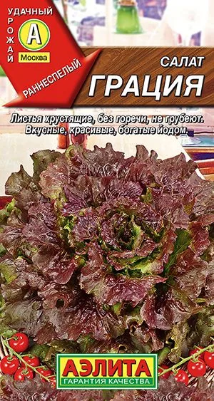 Салат Грация листовой