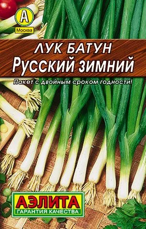 Лук батун Русский зимний