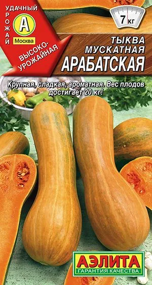 Тыква мускатная Арабатская