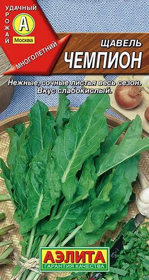 Салат Щавель Чемпион