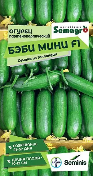 Семена: Огурец Бэби Мини F1