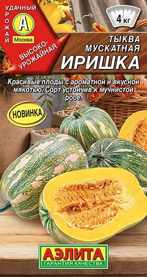 Тыква мускатная Иришка