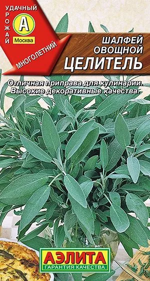 Лекарственные травы Шалфей овощной Целитель