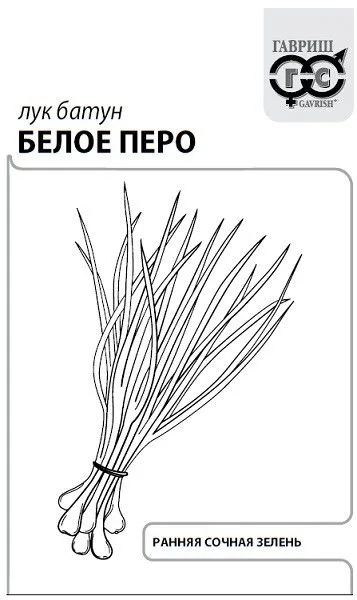 Лук батун Белое перо