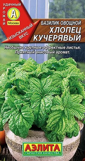 Базилик овощной Хлопец кучерявый