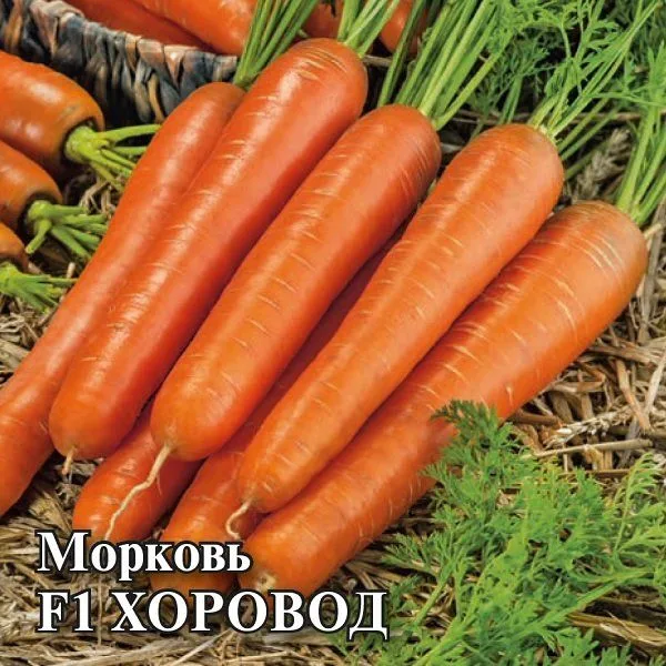 Морковь Хоровод