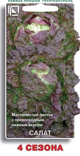 Салат 4 сезона