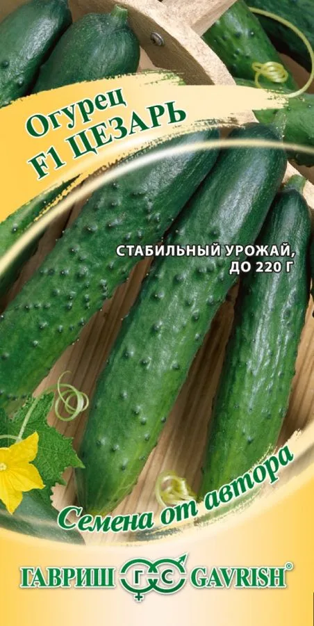 Огурец Цезарь F1