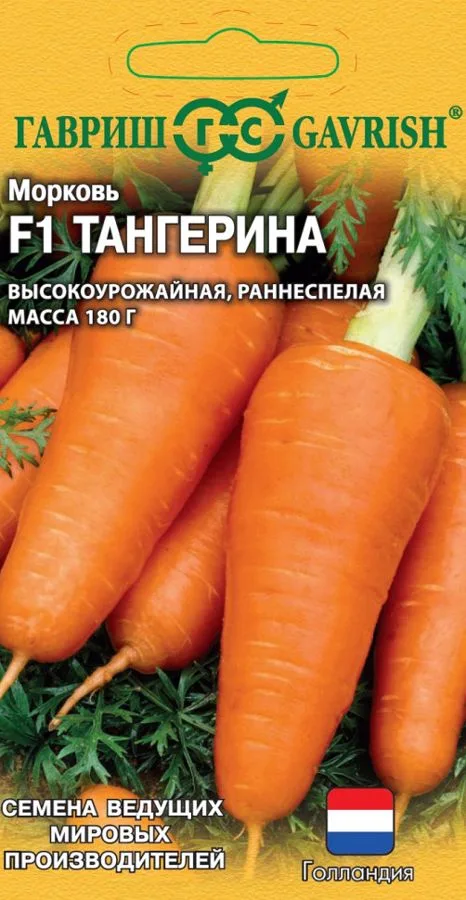 Морковь Тангерина F1