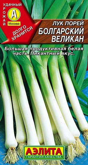 Лук порей Болгарский великан