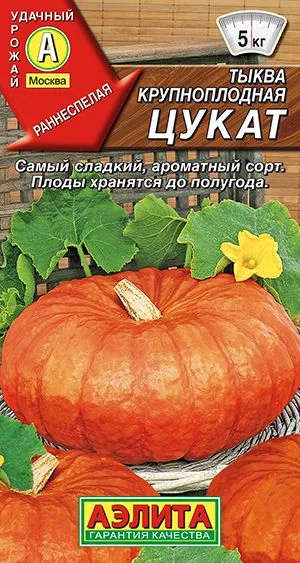 Тыква крупноплодная Цукат