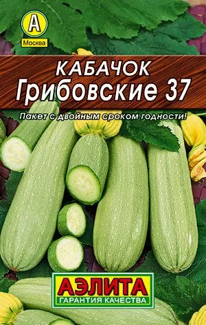 Кабачок белоплодный Грибовские 37