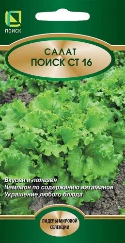Салат Поиск СТ 16