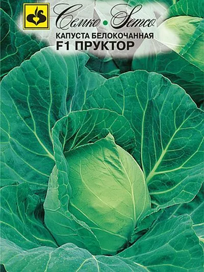 Капуста белокочанная Пруктор F1