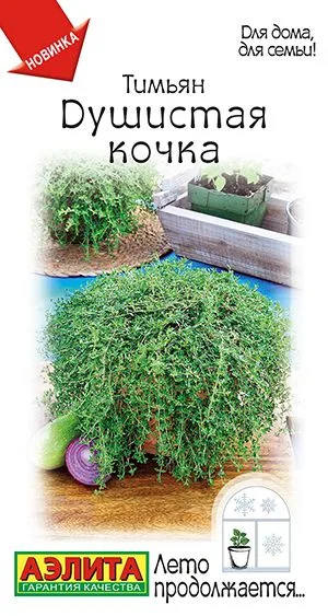 Пряные травы Тимьян Душистая кочка