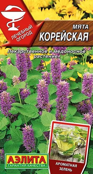 Пряные травы Мята Корейская