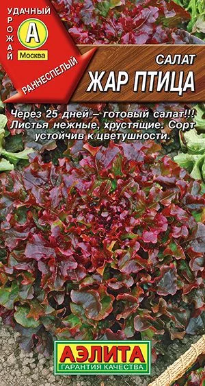 Салат Жар птица листовой