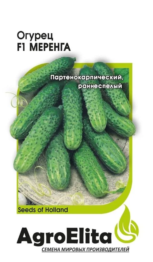 Семена: Огурец Меренга F1