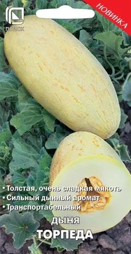 Дыня Торпеда