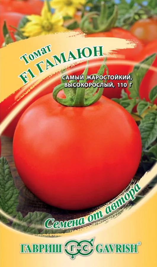 Томат Гамаюн F1