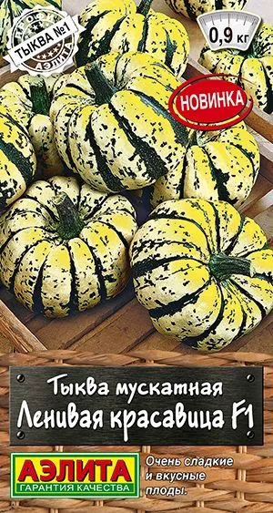Тыква мускатная Ленивая красавица F1