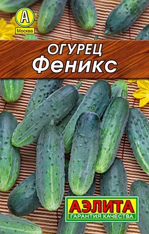 Огурец Феникс