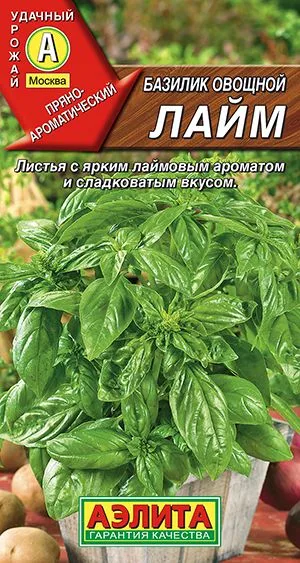 Базилик овощной Лайм