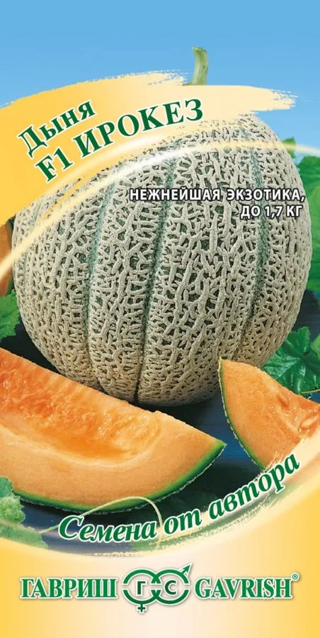 Дыня Ирокез F1