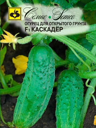 Огурец Каскадер F1