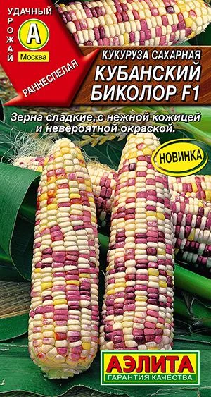 Кукуруза сахарная Кубанский биколор F1