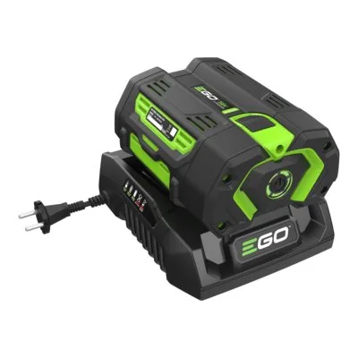 Зарядное устройство EGO CH3200E — фото производителя