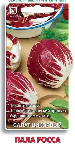 Салат цикорный Пала Росса