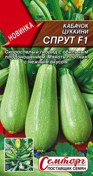 Кабачок цуккини Спрут F1