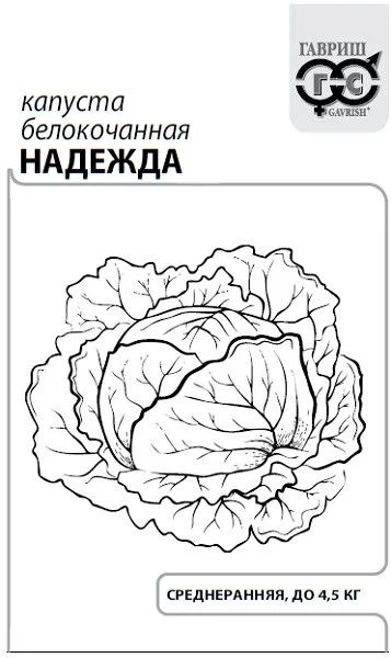 Капуста белокочанная Надежда