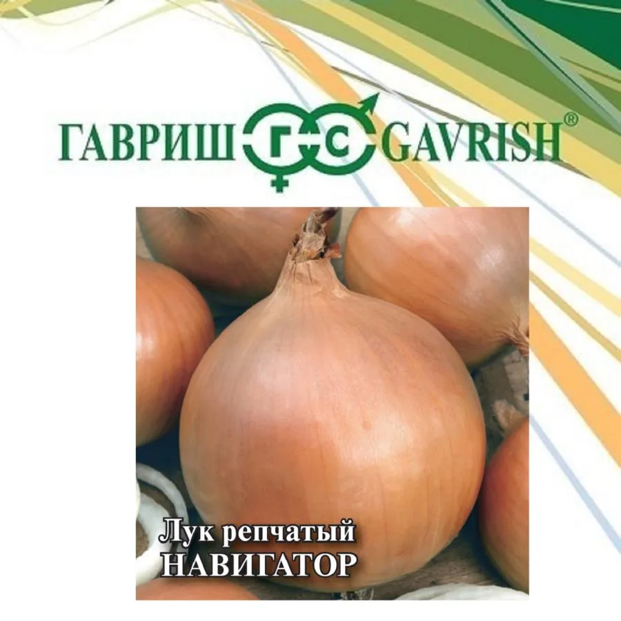 Лук репчатый Навигатор