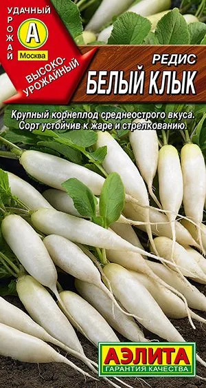 Редис Белый клык