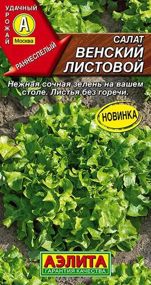 Салат Венский листовой