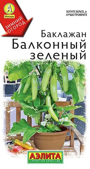 Баклажан Балконный зеленый