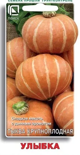 Тыква крупноплодная Улыбка