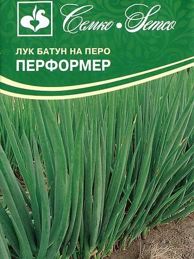 Лук Перформер