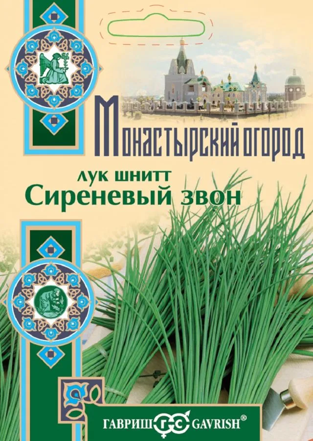 Лук шнитт Сиреневый звон
