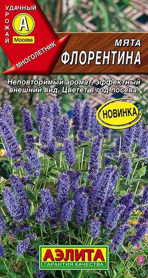Пряные травы Мята Флорентина